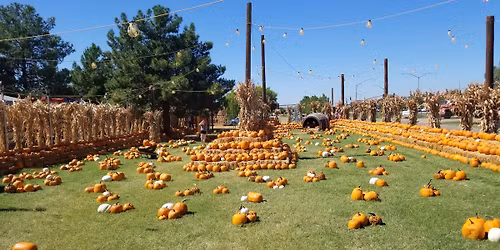 Fall Festival