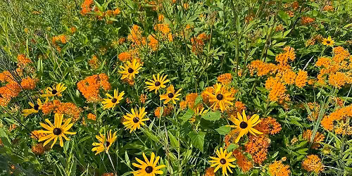 Beach Bonfire & Prairie Plants Bookmark Making