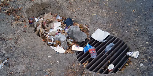 Neighborhood Cleanup: East Walnut Hills