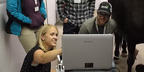 Musculoskeletal Ultrasound for Equine Practitioners \u2013 A 2-Day Practical Course