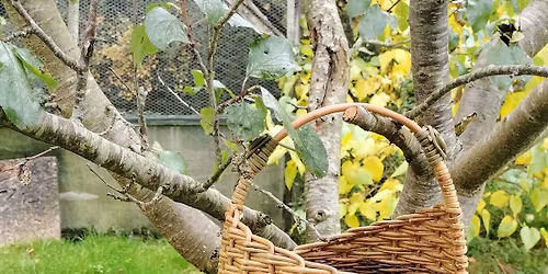 Egg Basket with a Polish Asymmetric Border Willow Weaving Workshop