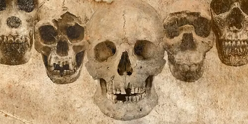 DNA og fossiler udvider vores stamtr\u00e6 (streaming)