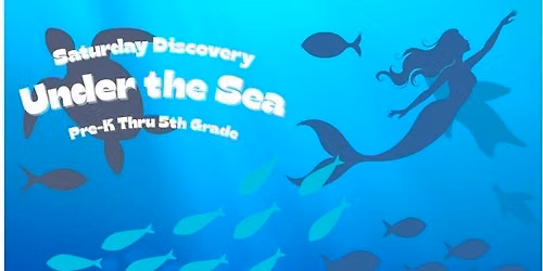 Under The Sea Discovery Saturday 