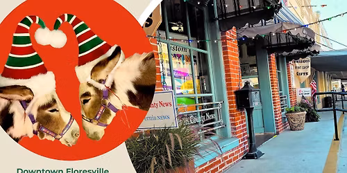 Christmas on C Street