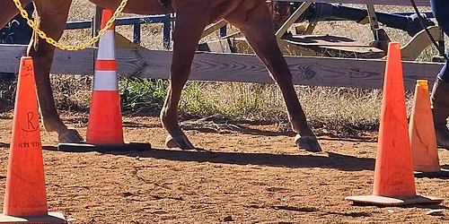 Rockin' R Ranch Obstacle Challenge