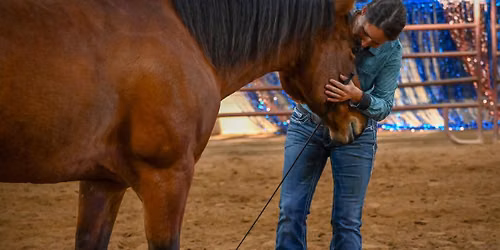 Northwest Wisconsin Equine Club H&H Liberty Horsemanship Class \u2013 Connection. Communication. Feel.