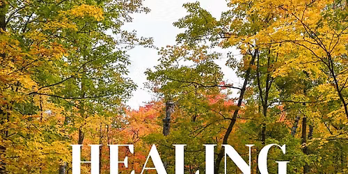 Healing in the Park: S3| Receiving Openly