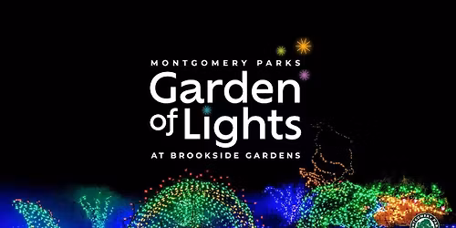 Parking Twelfth Night or What You Will - HD Screening