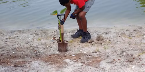Buttonwood Pond Restoration