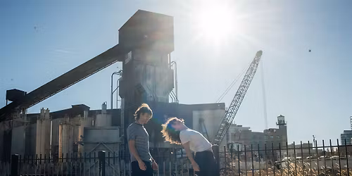 Sundew with Grey Morgan