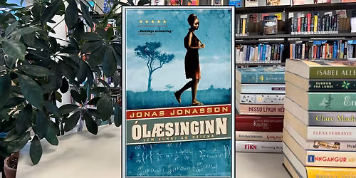 Lesi\u00f0 \u00e1 milli l\u00ednanna