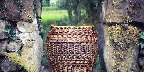 Willow Log basket workshop