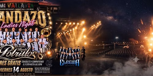 BANDA POTRILLOS Y MAS 