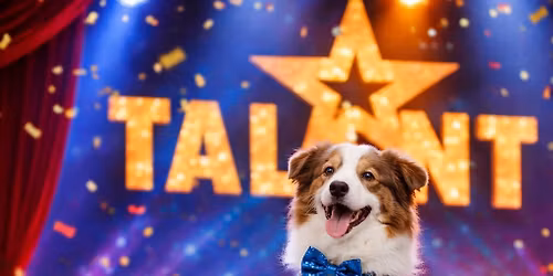 \ud83c\udf40 LUCK OF THE PAWS St. Patrick\u2019s Day Dog Talent Show