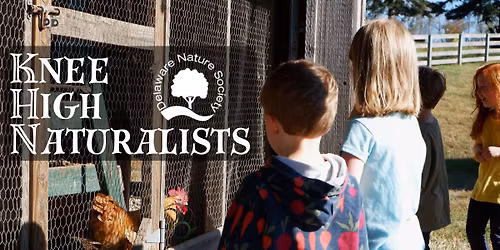 Knee High Naturalists ~ New Castle County