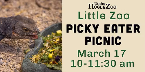 Little Zoo: Picky Eater Picnic