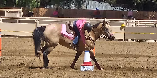 District 50 CGA buckle series