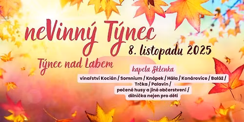 neVinn\u00fd T\u00fdnec 2025