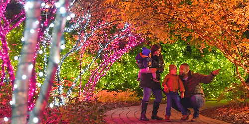 Nights at the Lights presented by Mercy Health