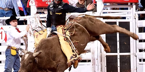 Fort Worth Stock Show and Rodeo - Bulls Night Out at Dickies Arena