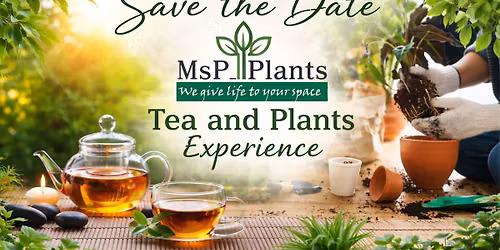 Tea and Plants Experience