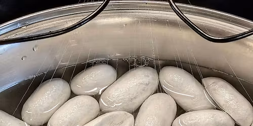 INTRO to SILK REELING