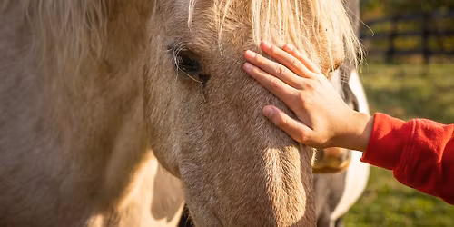 Life's Little Obstacles