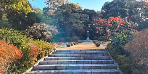 Eucalypts of Hodogaya