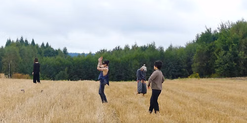 TO co ELEMENTARNE | warsztaty w naturze | WHAT IS ELEMENTAL | workshop in nature |
