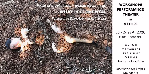 WHAT IS ELEMENTAL | butoh movement+sound workshop in nature