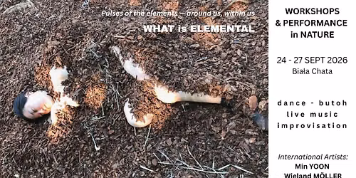 What is Elemental | MOVEMENT & SOUND WORKSHOP in NATURE | butoh dance+live music+improvisation