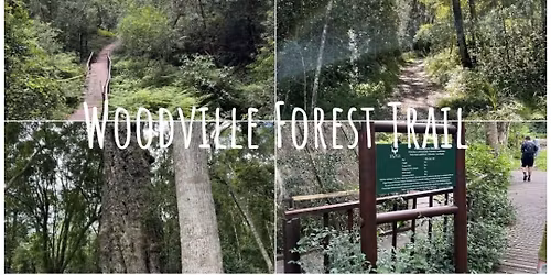 Woodville Big tree Forest Hike