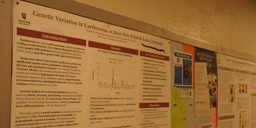 Allele at Scout Bar - Houston