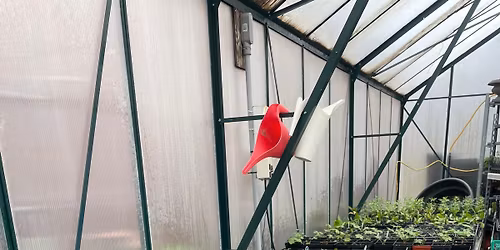 Your Pizza Shop Wooster - Pop-up Native Plant Sale