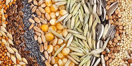 Seed Collection\/Seed Swap