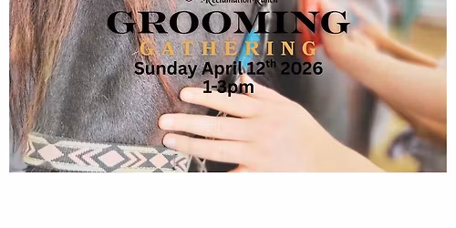 Helping with Horsepower Horse Grooming Gathering