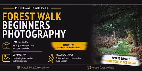 Forest Walk: Beginners Photography