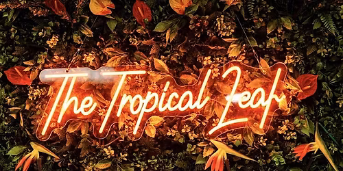 Tropical Leaf Soir\u00e9e de Noel