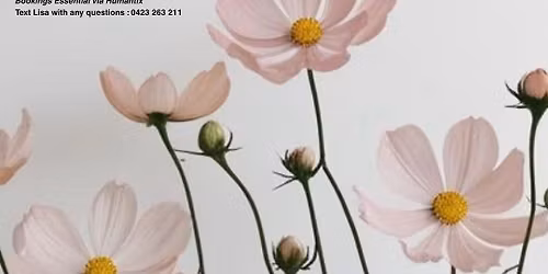 New Year Celebration 