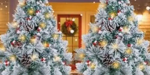 Cedar County Christmas Festival