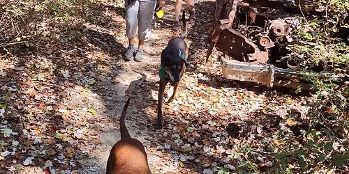 aug 2026 HNB @ Mass Preserve