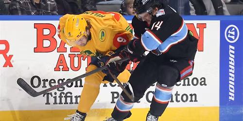 ECHL Central Division Semifinals: Toledo Walleye vs. Bloomington Bison - Home Game 4  Series Game 7 (If Necessary)