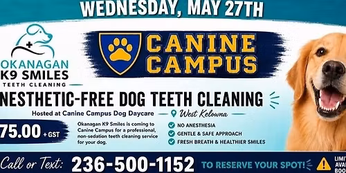 Okanagan K9 Smiles Teeth Cleaning at Canine Campus