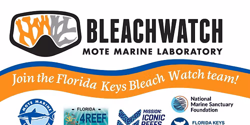 BleachWatch Training - Key West 