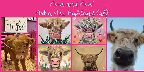 Moos & Moms \u2013 Meet a Mini Highland Calf!
