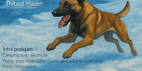 Concours mondioring CCA Nivelles