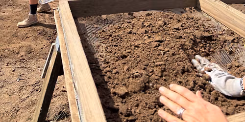 Public Dig Day
