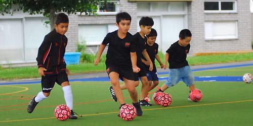 Junior Development Programme 