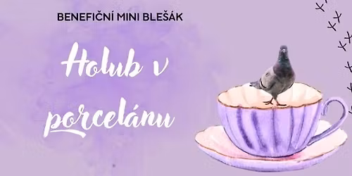 Benefi\u010dn\u00ed mini ble\u0161\u00e1k \u201cHolub v porcel\u00e1nu\u201d