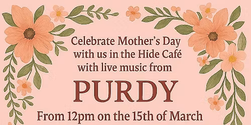 Music and afternoon tea at the hide